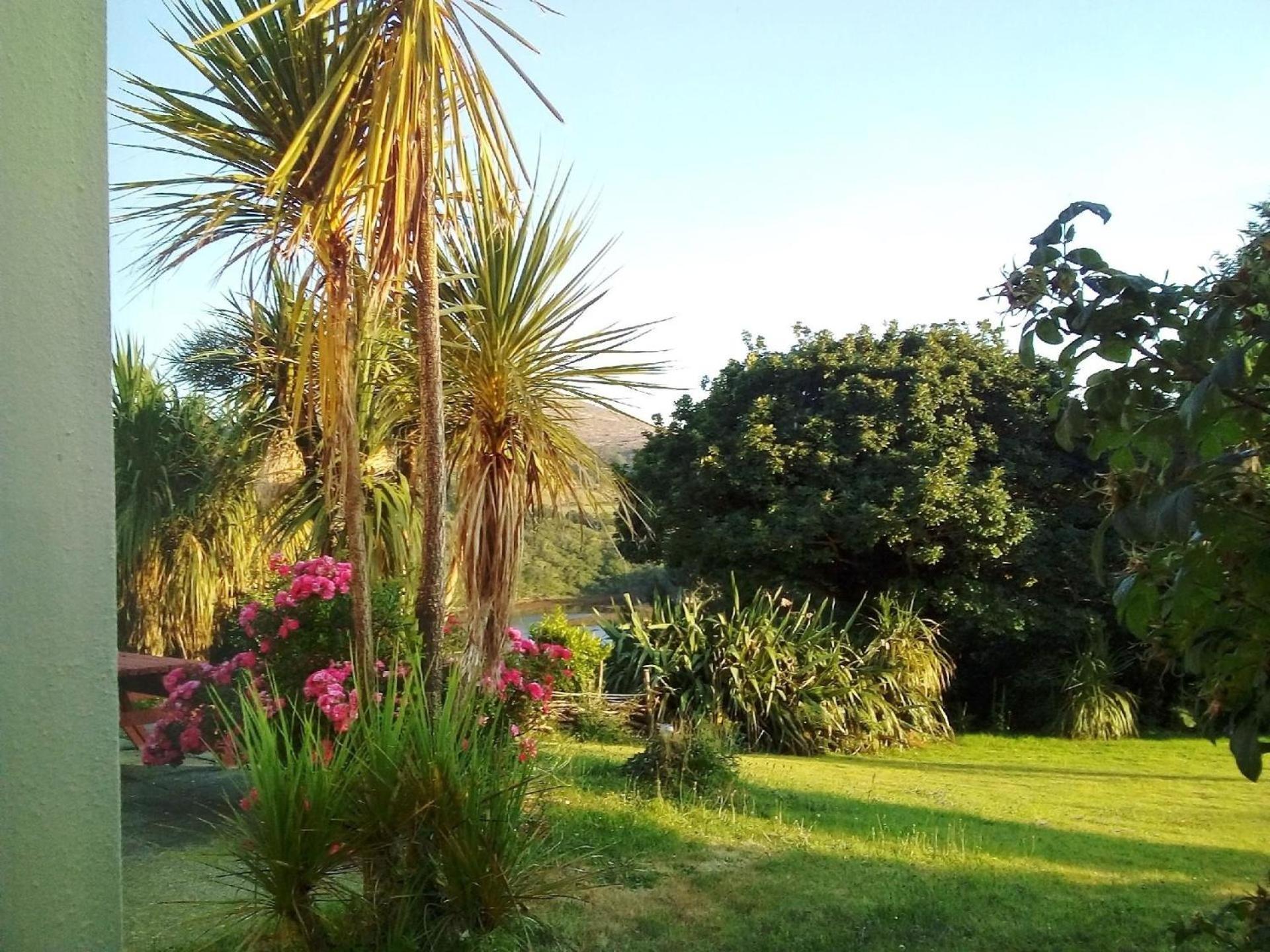 Haus Mit Blick Auf Die Kenmare Bucht Umgeben Von Subtropischer Vegetation - B48742 Villa Ardea ภายนอก รูปภาพ