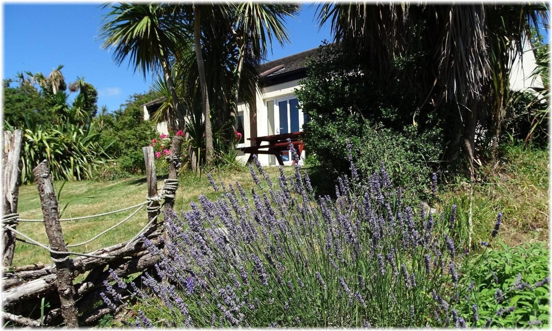 Haus Mit Blick Auf Die Kenmare Bucht Umgeben Von Subtropischer Vegetation - B48742 Villa Ardea ภายนอก รูปภาพ