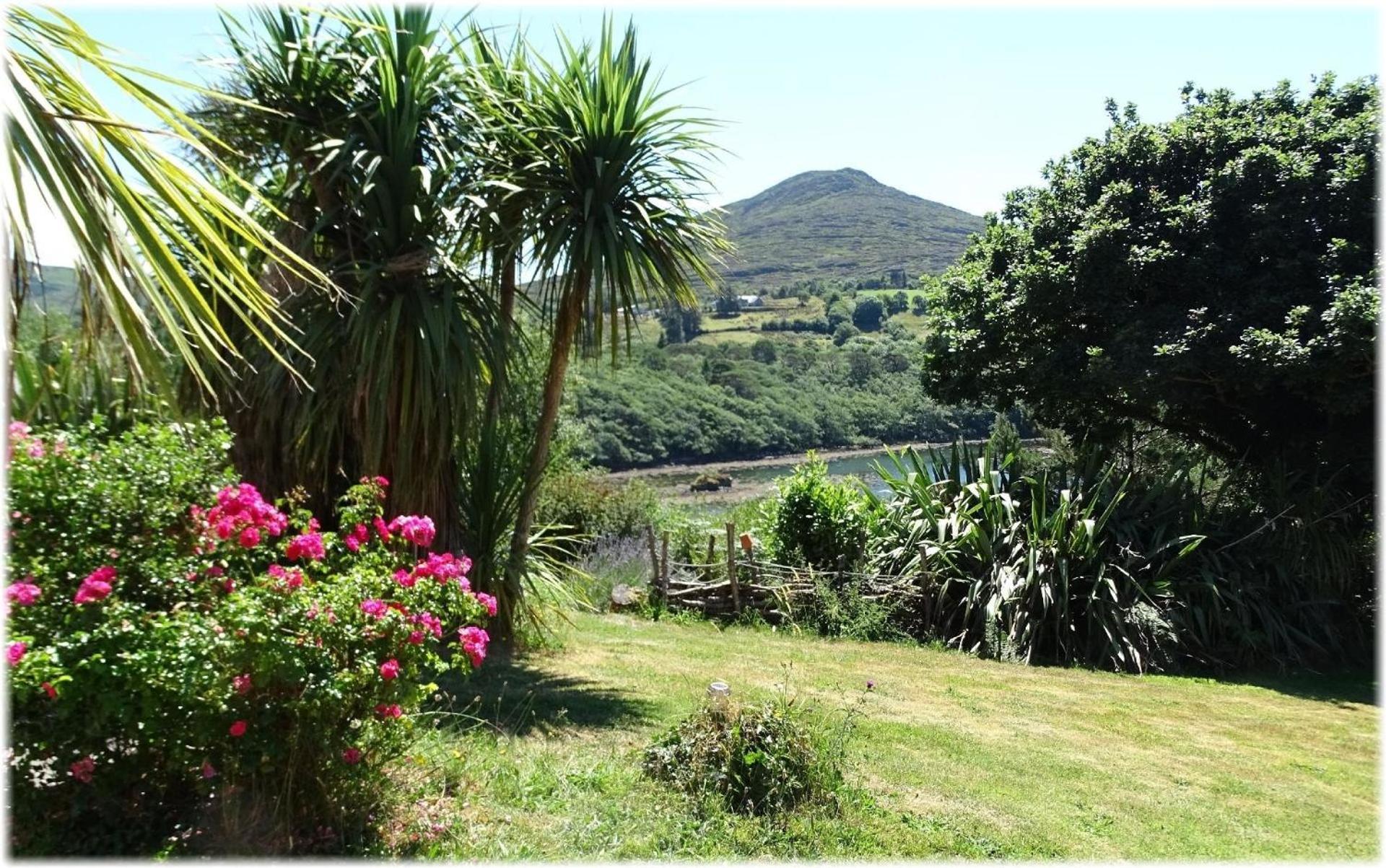 Haus Mit Blick Auf Die Kenmare Bucht Umgeben Von Subtropischer Vegetation - B48742 Villa Ardea ภายนอก รูปภาพ